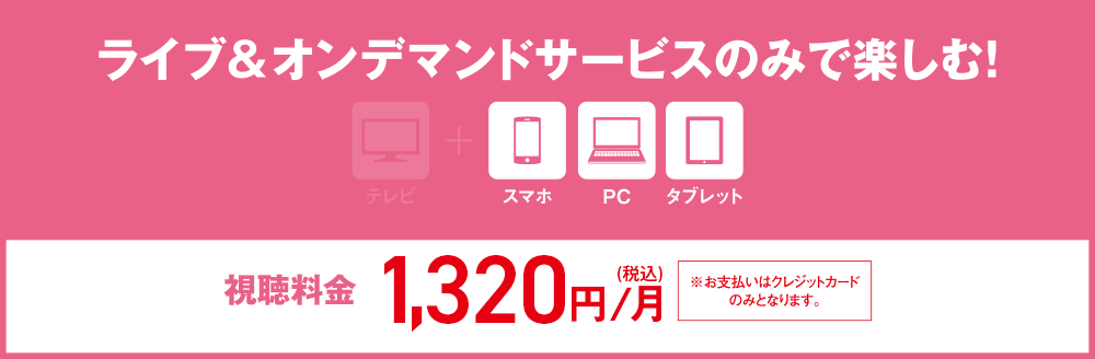 視聴料金合計1.296円/月